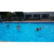 Colonia de Vacaciones - Diciembre 2014